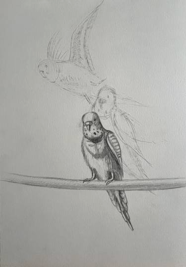 The Last Flight. Body and Soul Drawing